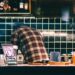 Restricting meals to daytime may reduce diabetes risk in night shift workers